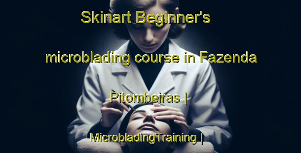 Skinart Beginner's microblading course in Fazenda Pitombeiras | MicrobladingTraining | MicrobladingClasses | SkinartTraining-Brazil